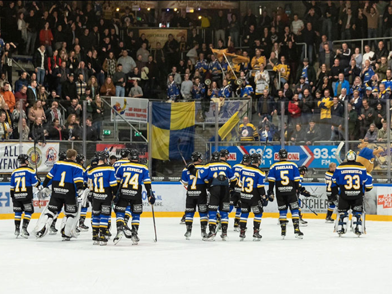 German Hockey Leagues
